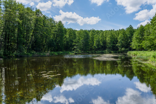 Anna Pond (Staw Anny) in the forest in Puszcza Niepolomicka (Niepolomice Forest) near Kraków city, Poland 