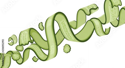Dynamic Illustration of Fresh Green Cucumber Ribbons and Slices Floating against White, Healthy Food Graphic Resource