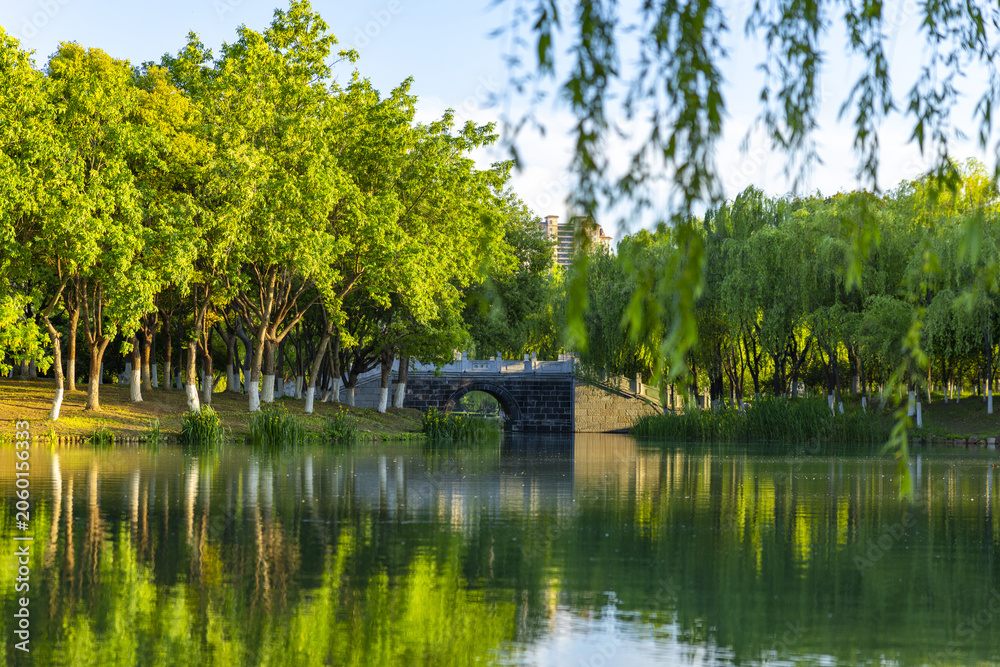 Fototapeta premium Peaceful Park Lake with Stone Bridge and Tree Reflections