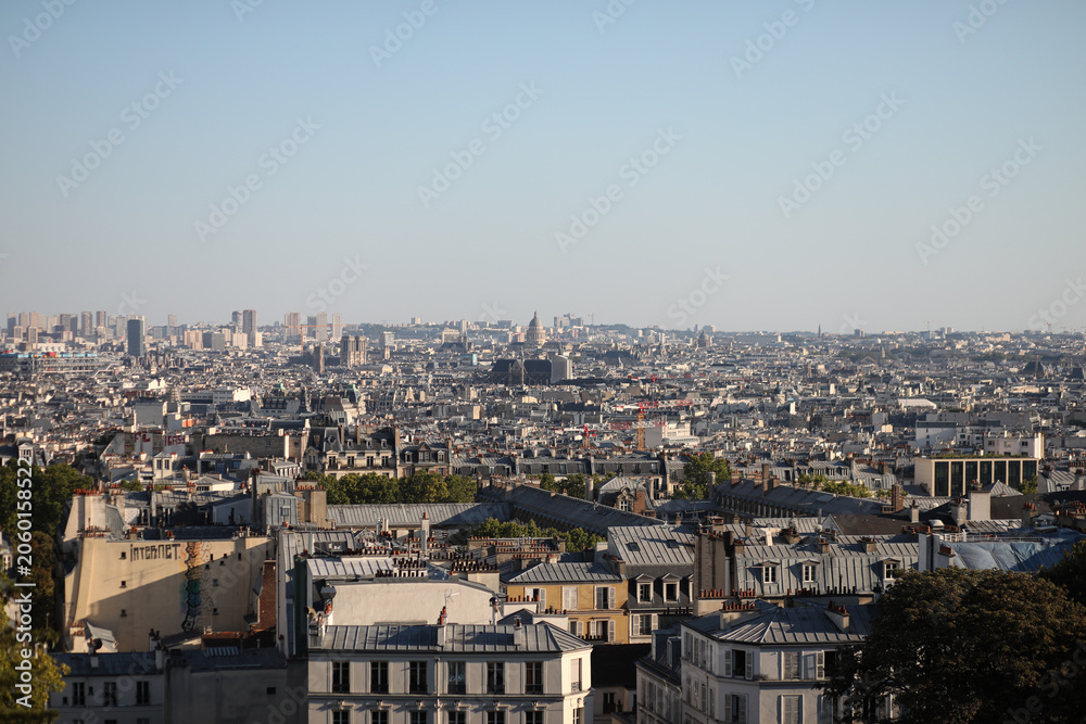 Fototapeta premium view of paris from the eiffel tower