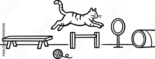 Fotografie Active cat training on an obstacle course with hurdles and tunnel training obsta