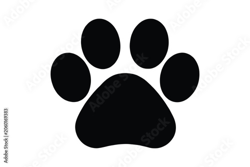 Photography Paw icon