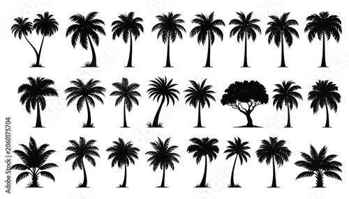 Black silhouettes of various palm trees.