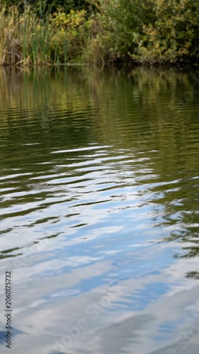 Gentle ripples across a calm lake with reflections of surrounding nature. Freshwater environment, tranquility and outdoor landscape concept.