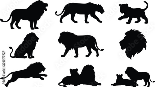 Photography Lion silhouette collection featuring roaring running sitting male lions lioness