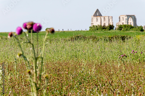 Fotografía ile de ré -0213
