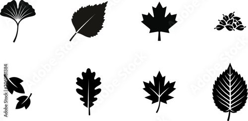 Minimalist forest leaves silhouette icon pack for nature graphic design