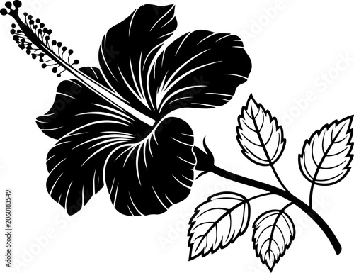 Tropical hibiscus flower silhouette