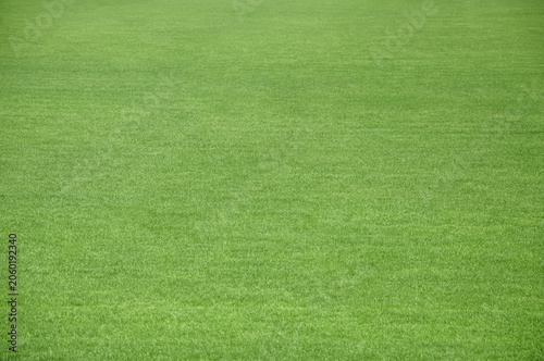 Pristine lush green grass field texture for sports or landscaping design