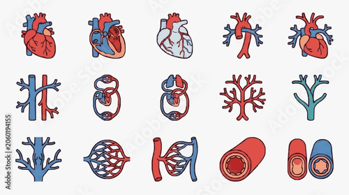 Konstfotografi Collection of Medical Icons Representing Human Circulatory System Anatomy