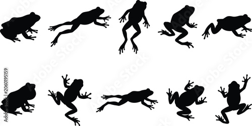 Fotografi Frog silhouette vector illustration set, cute amphibian toad icons isolated on w