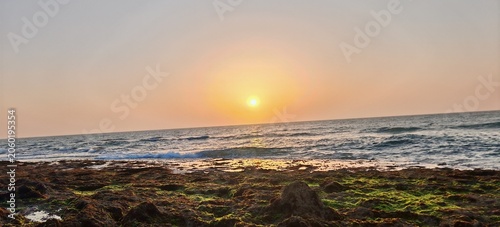 Slika na platnu Golden Sunset Over Rocky Moroccan Coastline with Green Algae and Ocean Waves