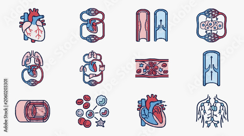 Photos Medical illustration of human circulatory system and heart conditions