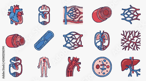 Fotografie Medical Illustrations of Human Circulatory System Organs and Vessels