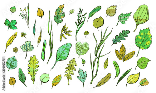 Bild auf Leinwand Summer Leaves sketch set