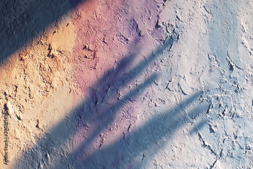 plant shadow on the wall