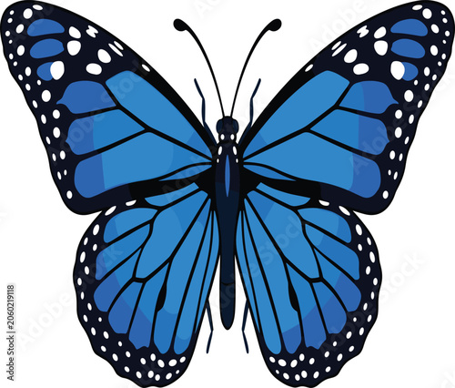Canvastavla Beautiful blue monarch butterfly vector eps illustration, detailed wild insect a