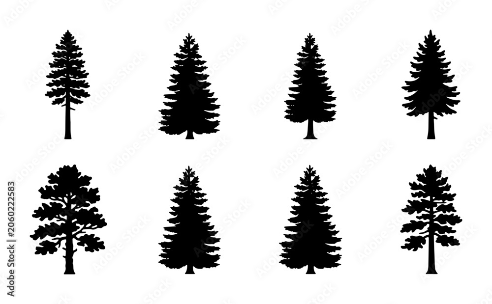 Obraz premium Conifer Tree Silhouettes, Evergreen Forest Icons, Pine and Fir Vector Graphics, Nature Elements for Design