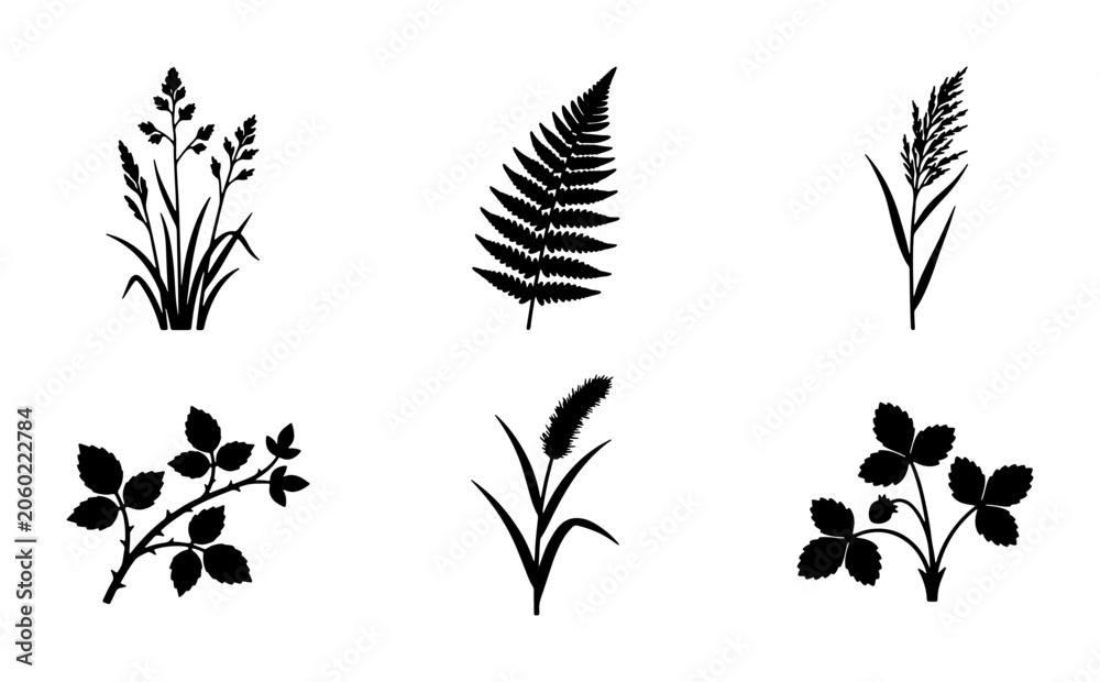 Fototapeta premium Botanical Silhouettes Collection: Grasses, Fern, Bramble, Wheat, Clover, Vector Icons for Nature Designs, Organic Graphics, and Garden Themes