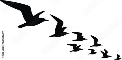 Flying Seagull Silhouette Flock Collection with Soaring Seabirds in Flight for Coastal Wildlife, Marine, Nature, and Travel Designs