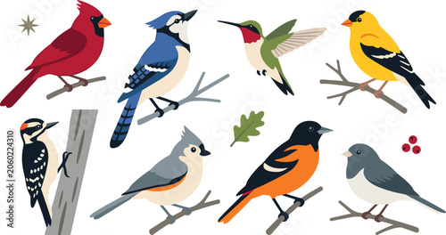 Foto Colorful Songbird Vector Collection Featuring Cardinal Blue Jay Hummingbird Gold
