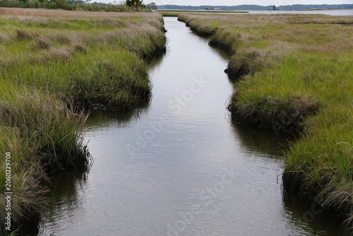 Fotografija Narrow tidal creek winding through marsh grasses toward distant open water under clear daylight near Fenwick Island, Delaware, U