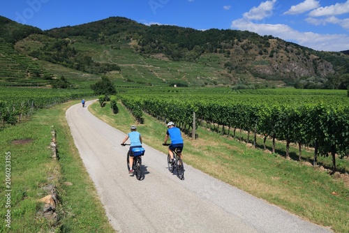 Danube Cycle Path (Donauradweg) among vineyards in Wachau region. Long distance bicycle route in Austria.