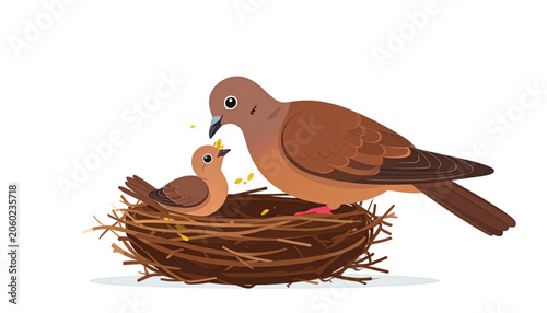 Brown bird feeding young in nest.