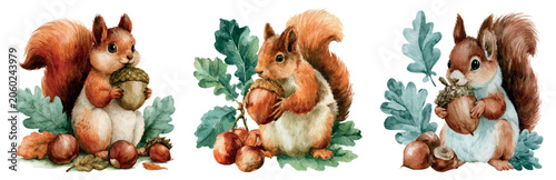 Fotografie Cute watercolor squirrels collecting acorns and nuts surrounded by green oak lea