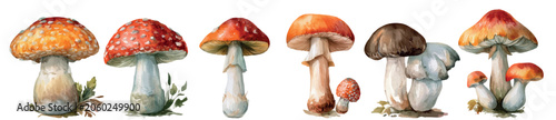 Fotografía Mushrooms showcasing variety in form and hue, including fly agaric and other spe