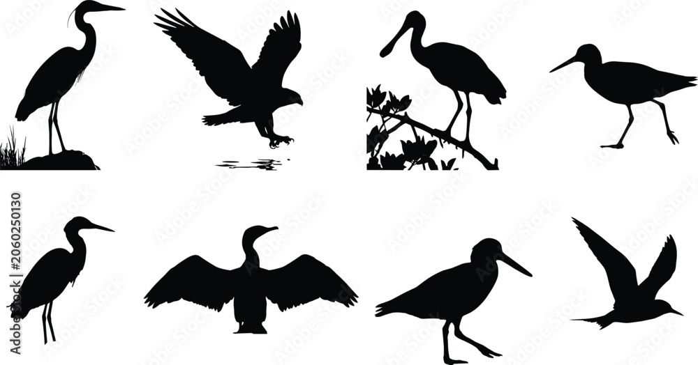 Fototapeta premium Water bird silhouette collection featuring heron wading birds and flying wildlife illustrations