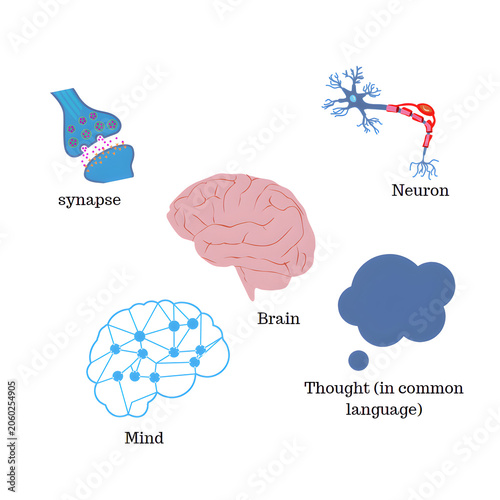 Educational Infographic Illustrating Human Brain, Neuron, Synapse, and Mind Concept