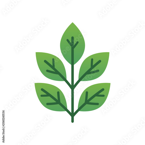 green leaves isolated on white background