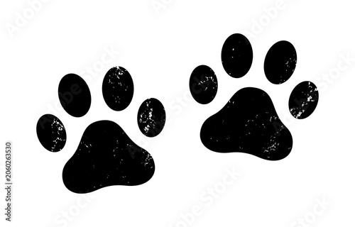Photography Dog paw prints isolated on transparent background