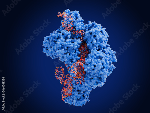 Konstfotografi The ribozyme human ribonuclease P