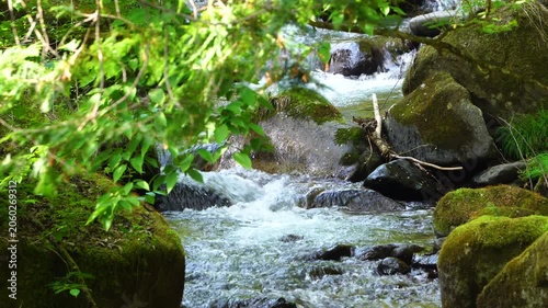 初夏の渓流の景色（山梨県山梨市）