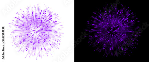 Canvastavla Purple dandelion puffball explosion on white and black backgrounds, abstract flo