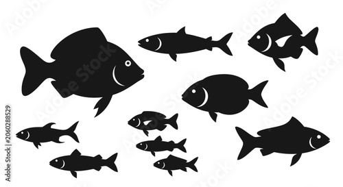 A school of fish swims together in the ocean with a large fish leading.
