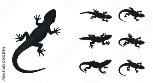 A group of lizards are climbing on a rocky surface outdoors.