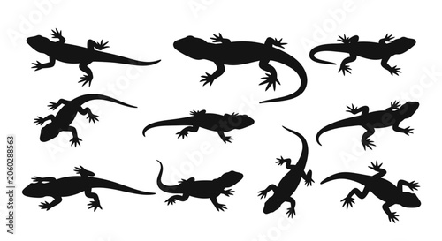 A group of lizards are gathered together outdoors in nature.