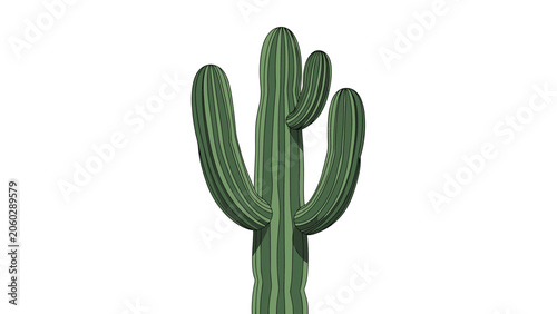 Large green saguaro cactus with multiple arms and detailed ribbing shown against a plain white background for desert themes.