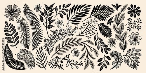Tableau sur toile Black botanical illustrations of leaves flowers and branches on a beige backgrou