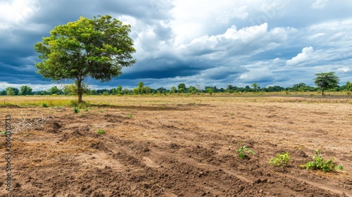 Barren land suffering from drought under an overcast sky, showing signs of degradation and deforestation