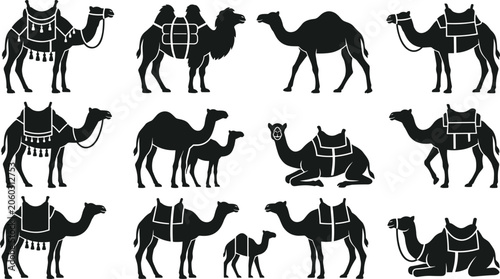 Obraz na plátne Camel Silhouette Vector Icon Set Featuring Dromedary, Bactrian, Caravan, and Des