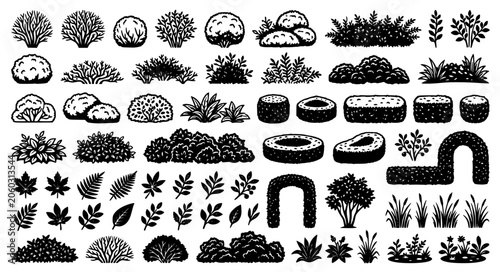 Foto Natural Wild Bushes and Shrubs Isolated Vector Illustration Collection