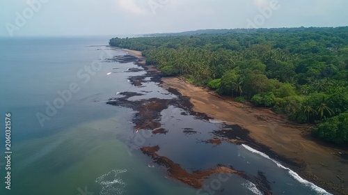 Aerial view of an ominous oil slick forming near a lush tropical coastline and wildlife reserves under overcast skies