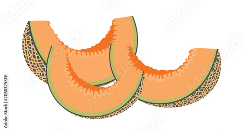 Φωτογραφία Slices of Fresh Cantaloupe Melon Vector Illustration