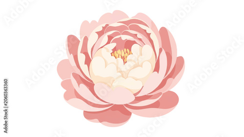 Obraz na plátně Beautiful Watercolor Peony Flower Illustration.