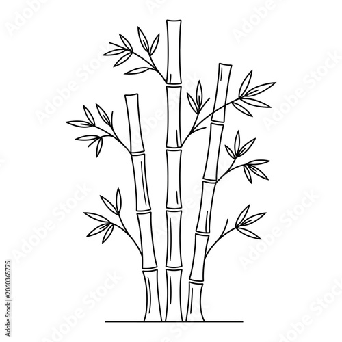 Bamboo stalks with leaves in a clean minimalist vector silhouette for organic wellness branding