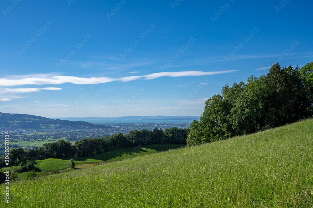 Fototapeta premium Panoramic high-angle view over the lush green Rhine Valley in Vorarlberg, distant mountains of Switzerland, and Lake Constance under a vibrant blue sky with clouds